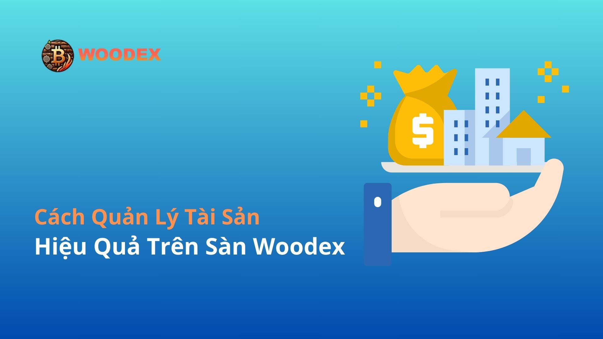 Cách Quản Lý Tài Sản Hiệu Quả Trên Sàn Woodex